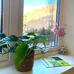 By Florin Apartman *