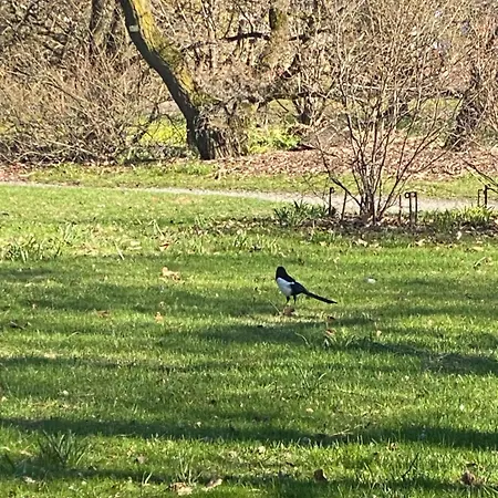 Appartement By Florin Oslo