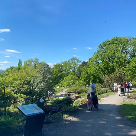 By Florin Appartement