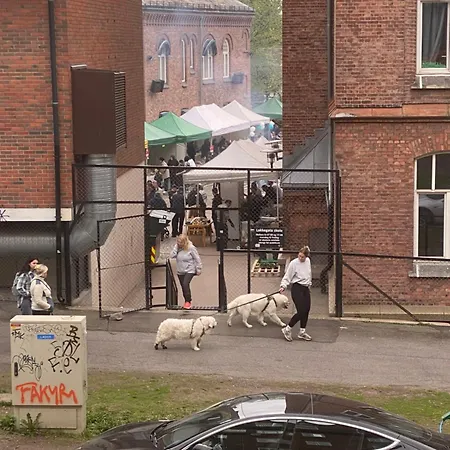 Apartamento By Florin *